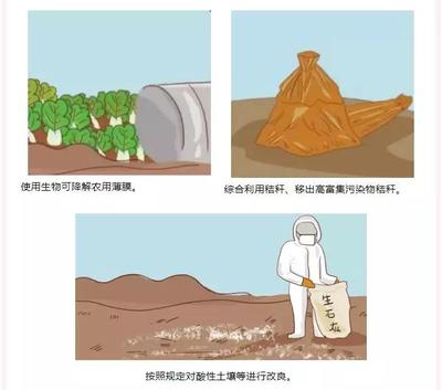 土壤环保小百科|防治土壤污染,普通公众能做什么?