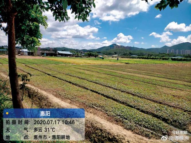 强化源头污染预防,土壤分类分级管控,污染场地治理修复等工作