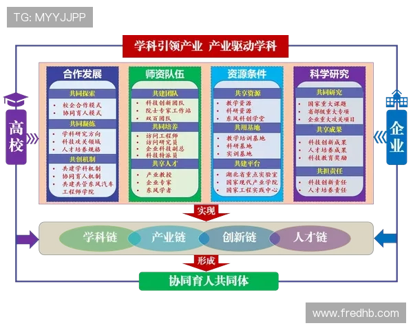 杭州篮球队的团队协作精神探讨与实践分享