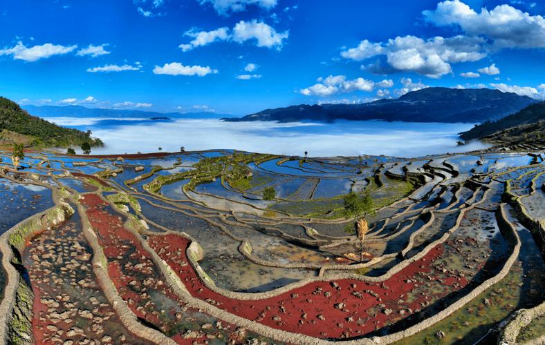 供图近年来,云南坚决守住七彩云南美丽净土,推进农用地土壤污染防治和